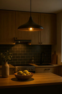 Apollo Black Rustic 1-Light Pendant Light — view 4