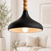 Dron Black Rustic 1-Light Pendant Light