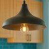 Apollo Black Rustic 1-Light Pendant Light