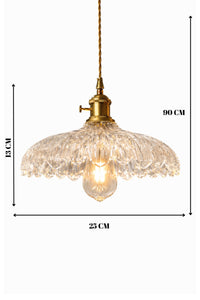 Roma Clear Glass Classic 1-Light Pendant Light — view 2