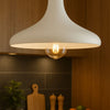 Apollo White Rustic 1-Light Pendant Light