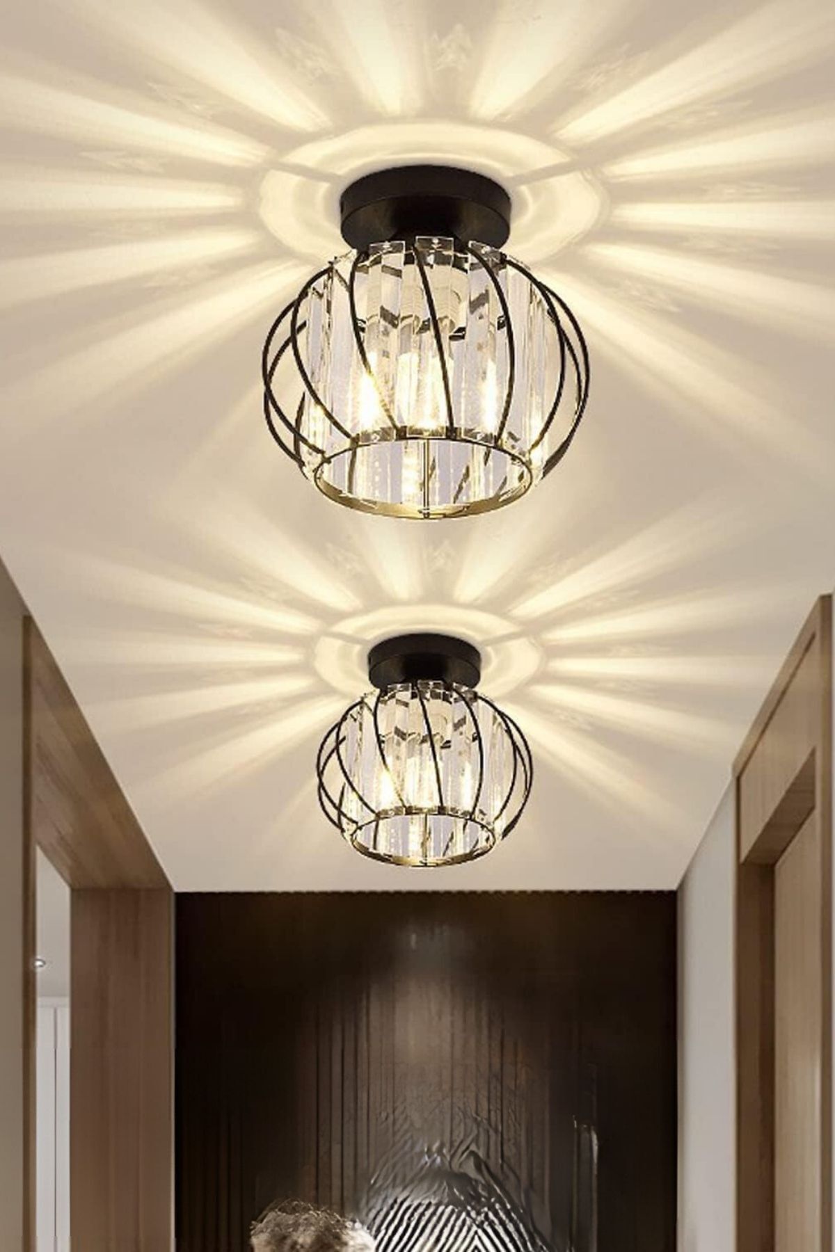 Bella Luce Black Crystal 1-Light Ceiling Light