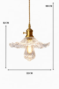 Veronika Clear Glass Classic 1-Light Pendant Light — view 3