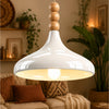 Dron White Rustic 1-Light Pendant Light