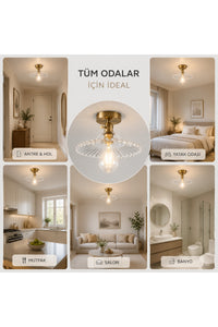 Torino Clear Glass Classic 1-Light Ceiling Light — view 3