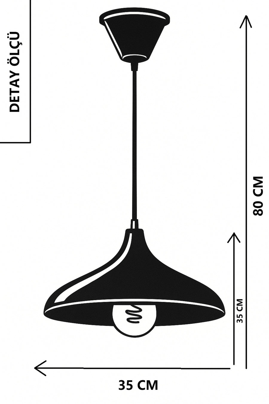 Apollo Black Rustic 1-Light Pendant Light — alternate view